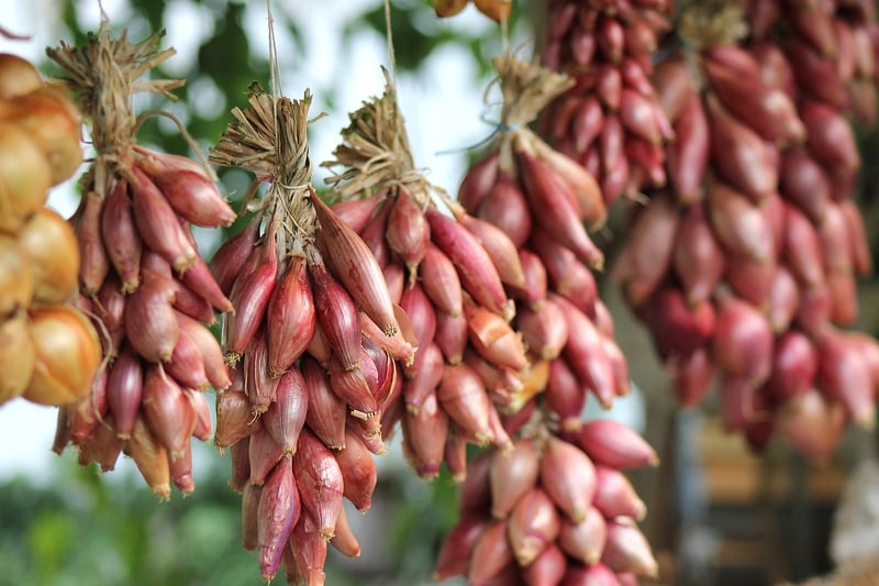 Connecting with Fellow Gardeners