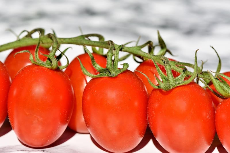 Tomatoes